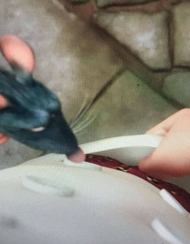 'Ratatouille' Hidden Details (36 pics)