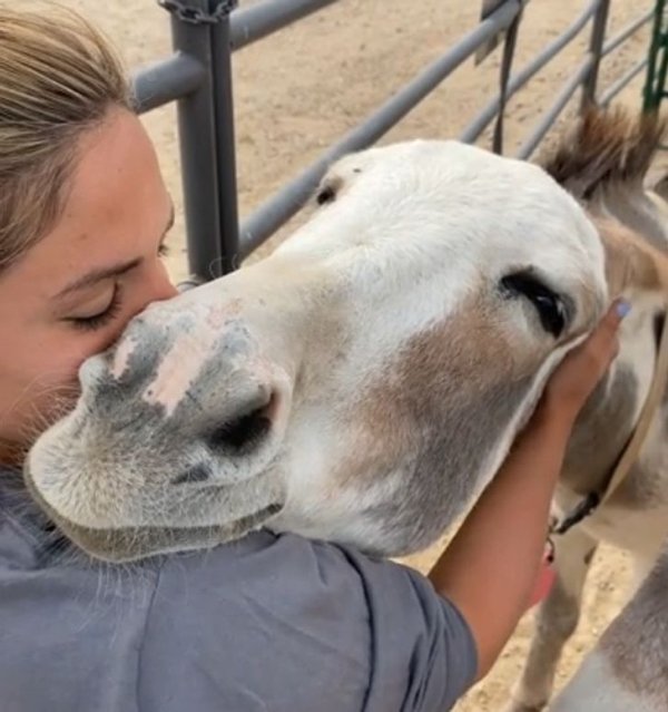 True Friendship Between People And Animals (19 pics)