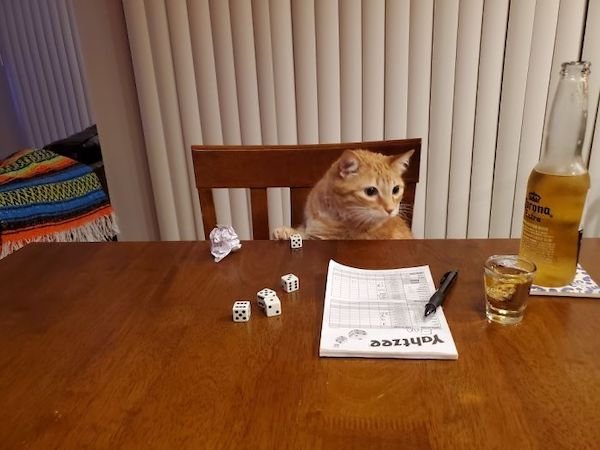 Tricks From Husbands And Boyfriends (29 pics)