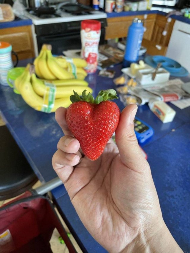 Awesome Things (45 pics)