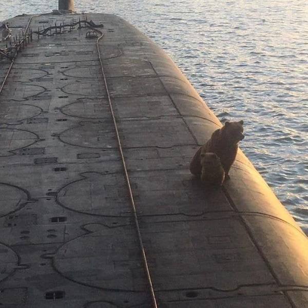 Acid Picdump. Part 2 (91 pics)