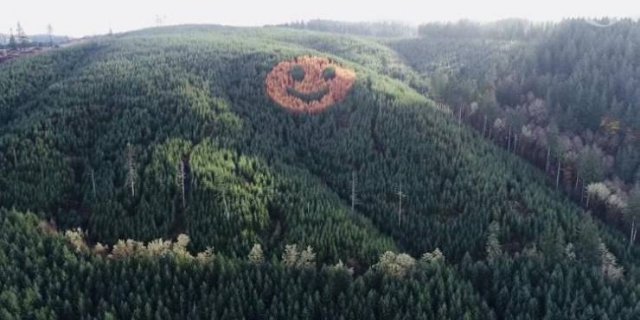 Acid Picdump. Part 2 (91 pics)