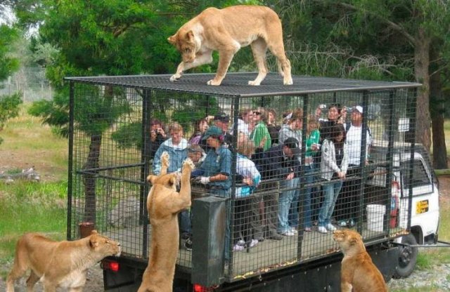 Acid Picdump. Part 2 (91 pics)