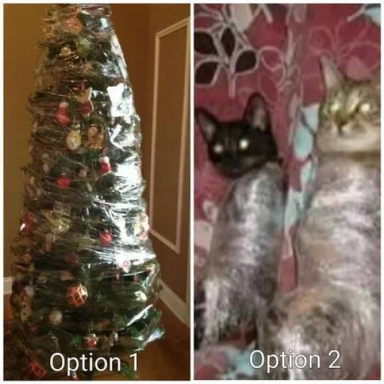 Acid Picdump. Part 2 (91 pics)