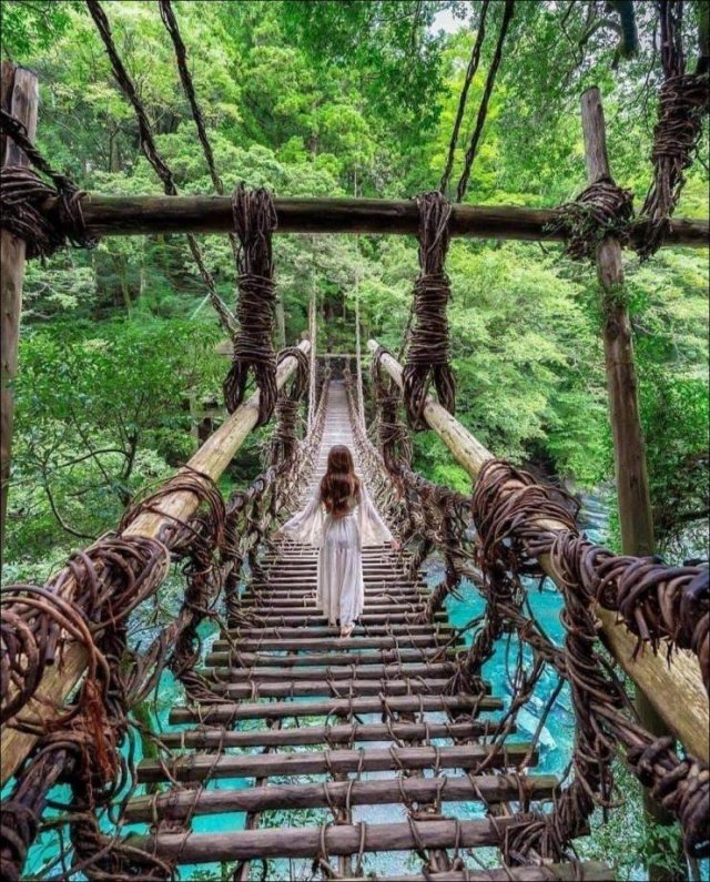 No Words Needed For These Pictures (52 pics)