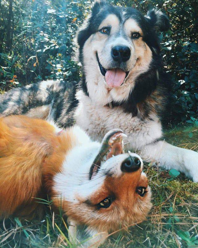 No Words Needed For These Pictures (52 pics)