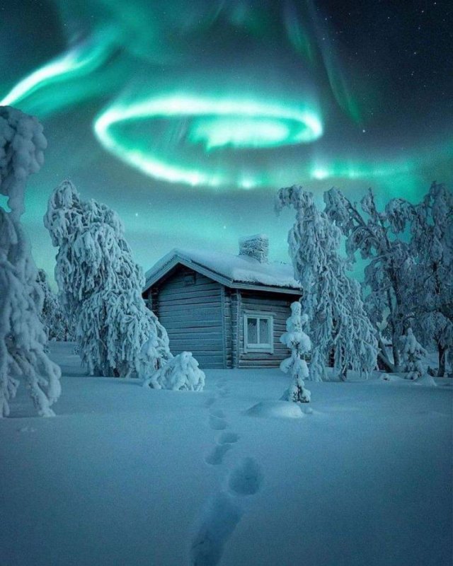 No Words Needed For These Pictures (52 pics)