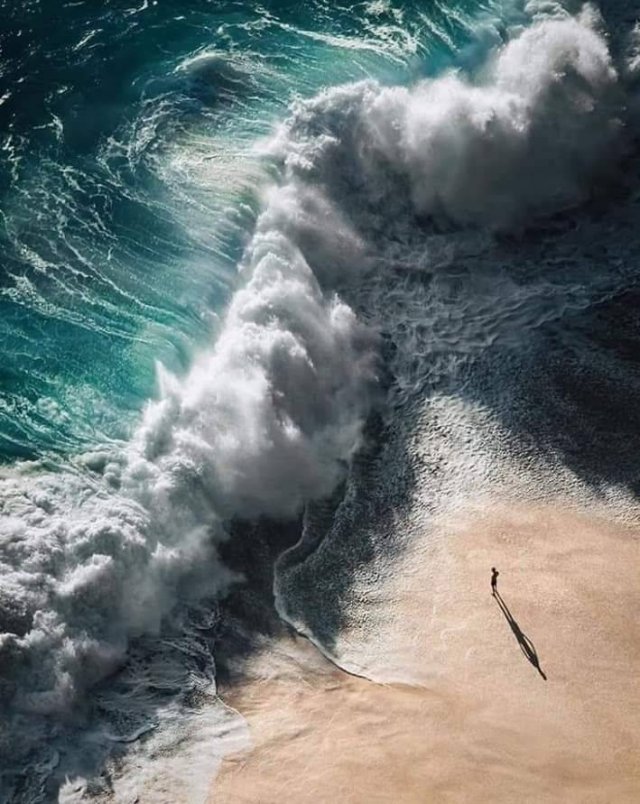 No Words Needed For These Pictures (52 pics)