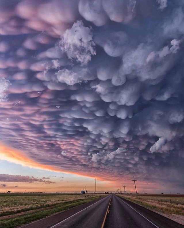 No Words Needed For These Pictures (52 pics)