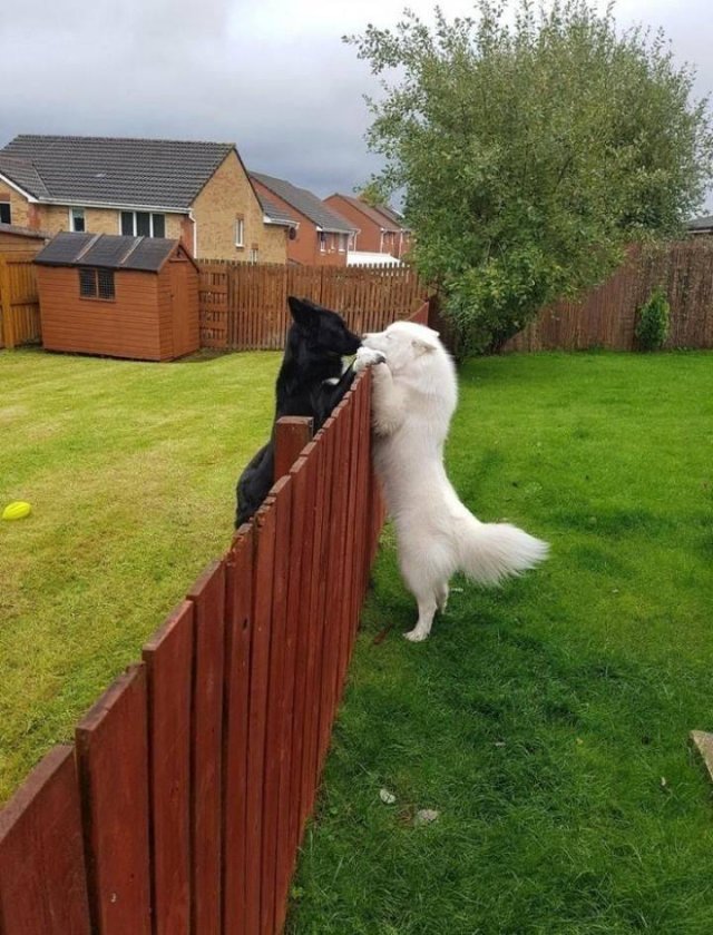 No Words Needed For These Pictures (52 pics)