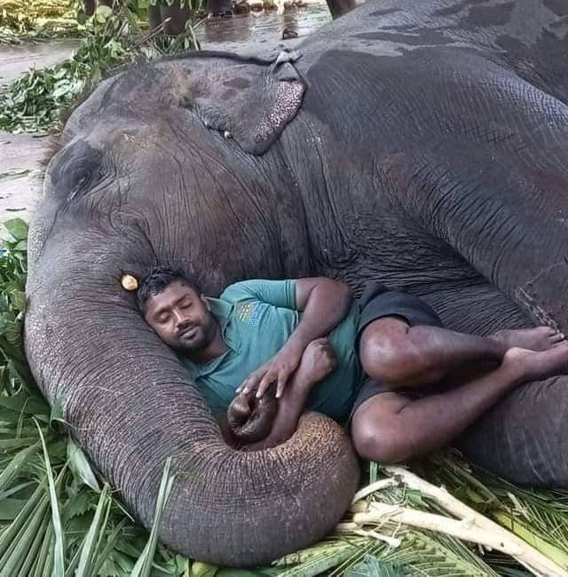 No Words Needed For These Pictures (52 pics)