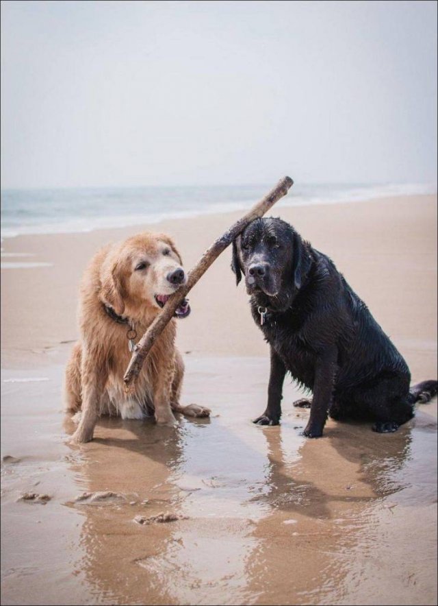 No Words Needed For These Pictures (52 pics)