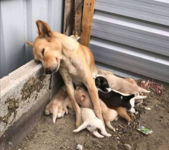 No Words Needed For These Pictures (52 pics)