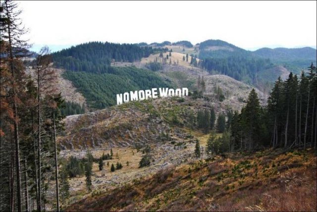 No Words Needed For These Pictures (52 pics)