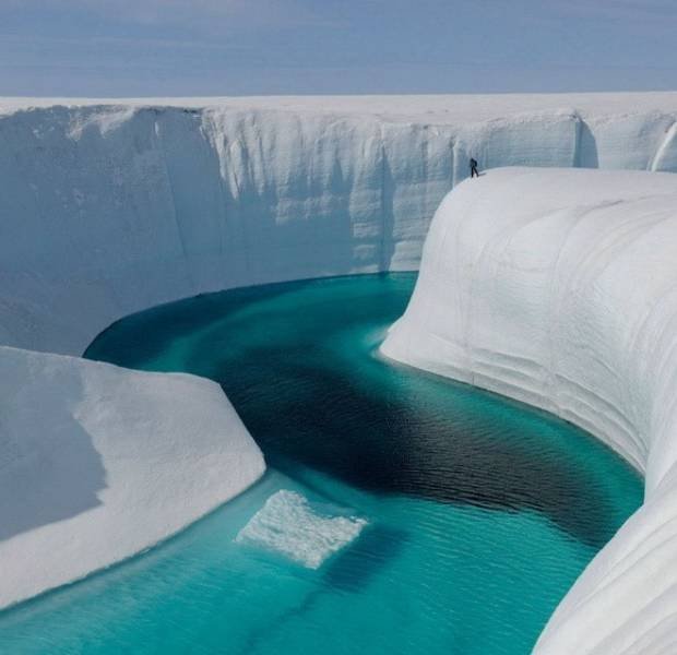 No Words Needed For These Pictures (52 pics)
