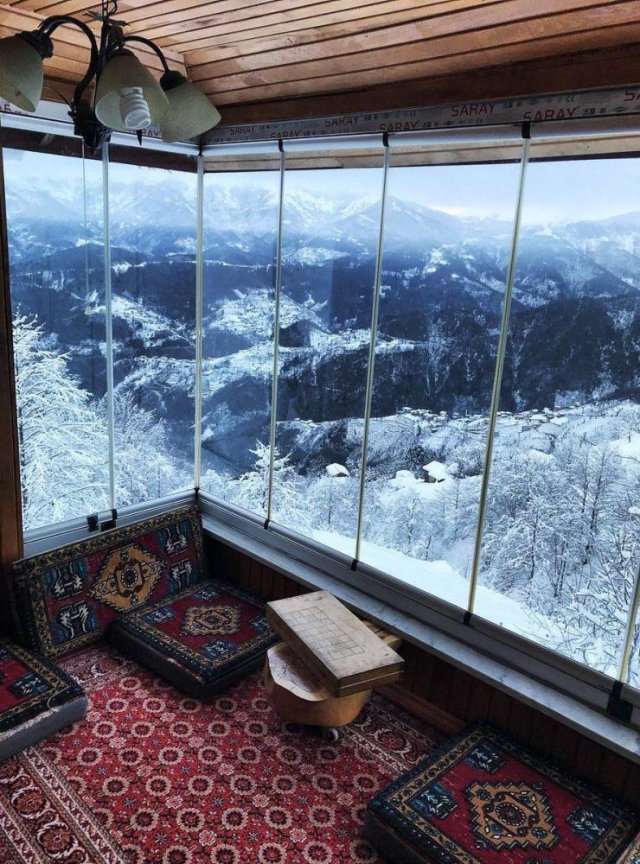 No Words Needed For These Pictures (52 pics)