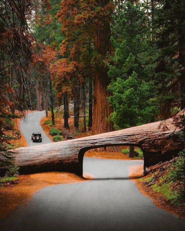 No Words Needed For These Pictures (52 pics)