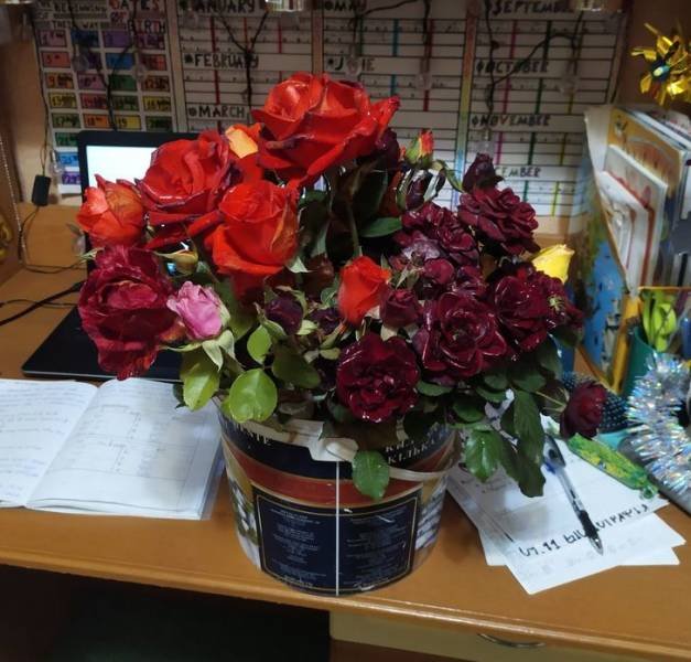 That's Why Everybody Loves Their Grandmas (15 pics) That's Why Everybody Loves Their Grandmas (15 pics)