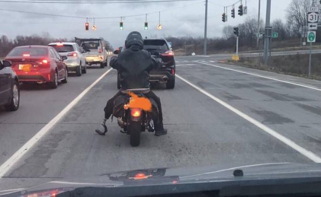 No Words Needed For These Pictures (52 pics)