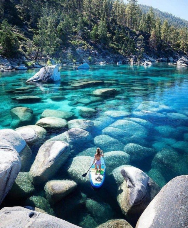 No Words Needed For These Pictures (52 pics)