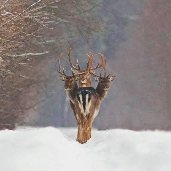 No Words Needed For These Pictures (52 pics)