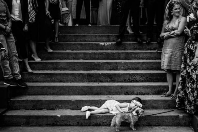 No Words Needed For These Pictures (52 pics)