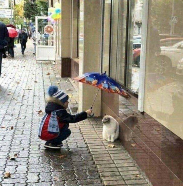No Words Needed For These Pictures (52 pics)
