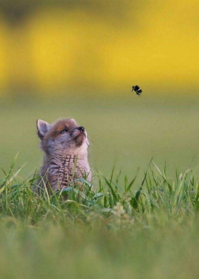No Words Needed For These Pictures (52 pics)