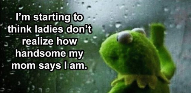 Random Funny Memes (152 pics)