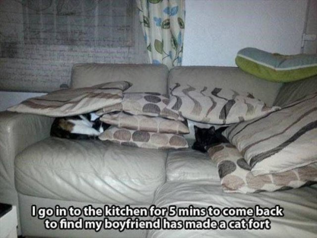 Random Funny Memes (152 pics)