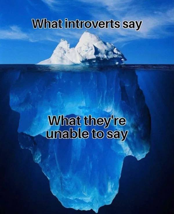 Introvert Memes (32 pics)