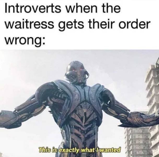 Introvert Memes (32 pics)