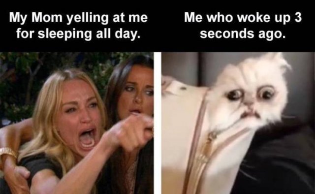 Random Funny Memes (152 pics)