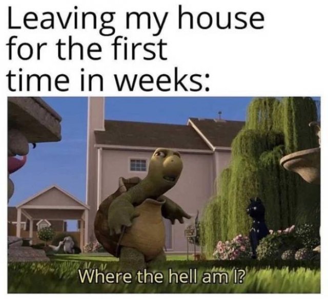 Introvert Memes (32 pics)