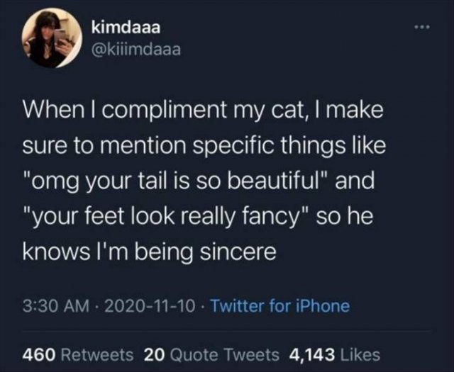 Funny Tweets (41 pics)