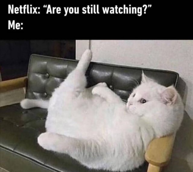 Random Funny Memes (152 pics)