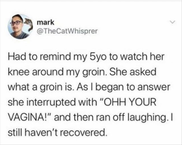 Funny Tweets (41 pics)