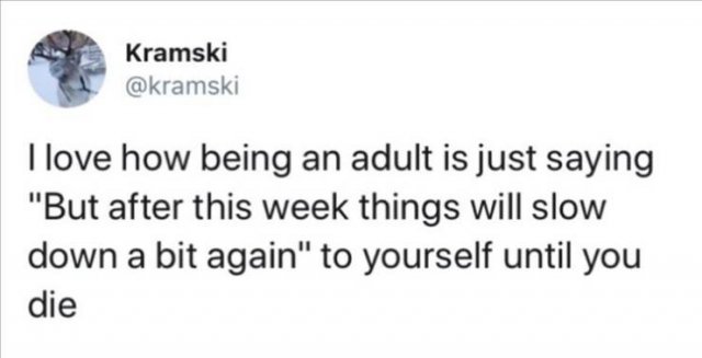 Funny Tweets (41 pics)