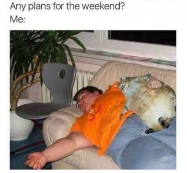 Introvert Memes (32 pics)