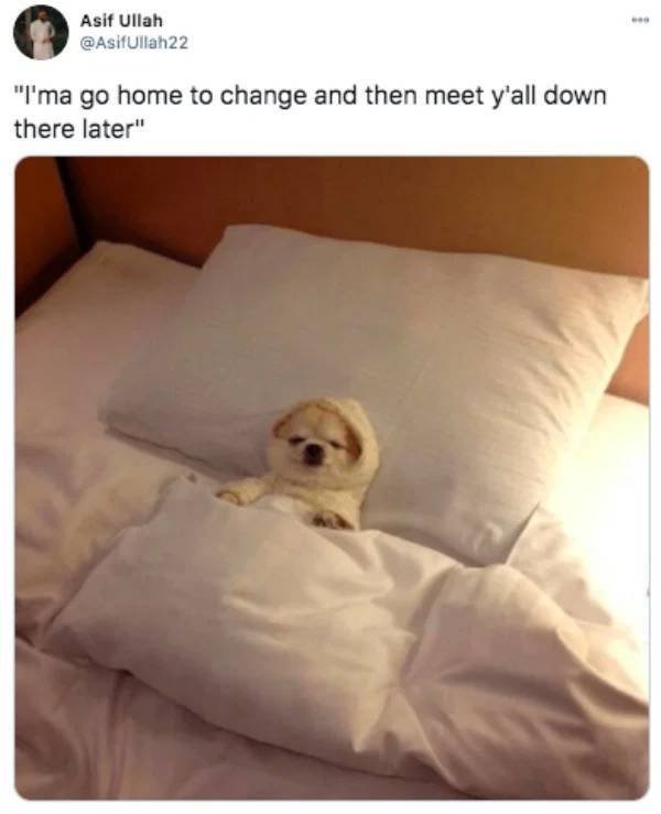 Introvert Memes (32 pics)