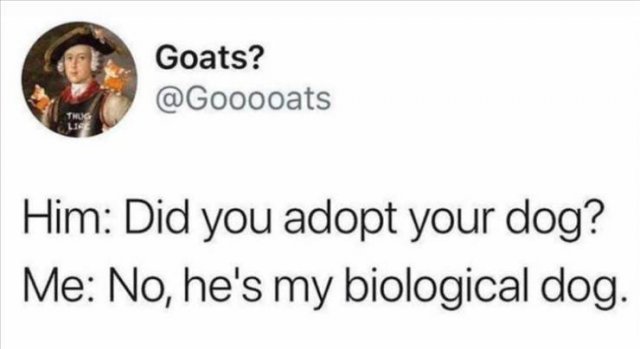 Funny Tweets (41 pics)