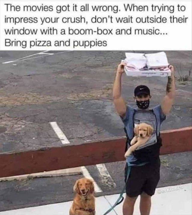 Random Funny Memes (152 pics)
