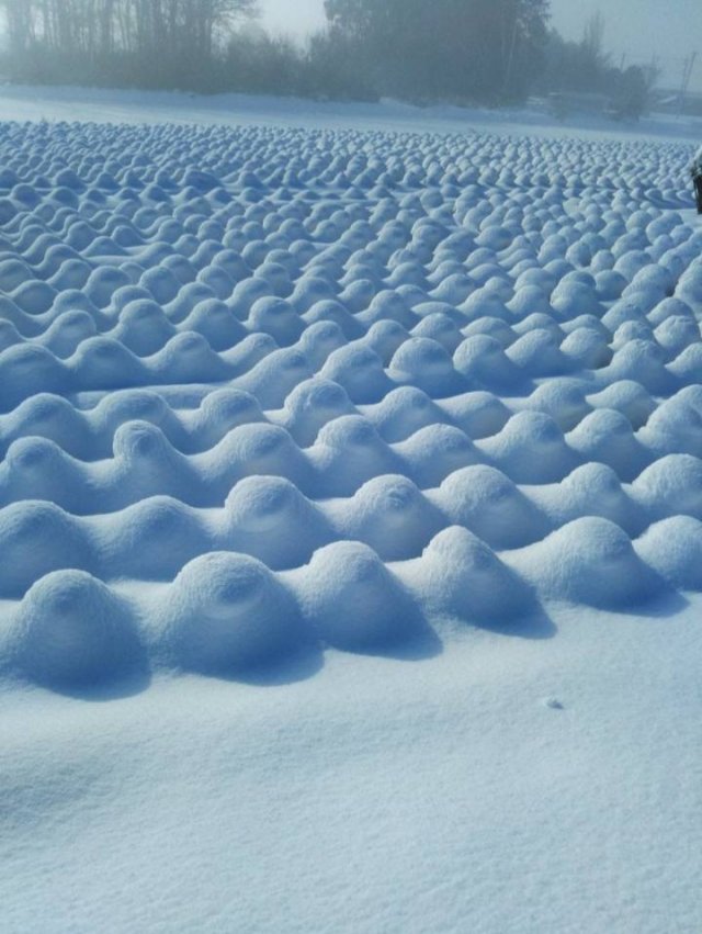 Amazing Pictures (47 pics)