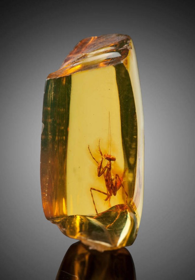 Amazing Pictures (47 pics)