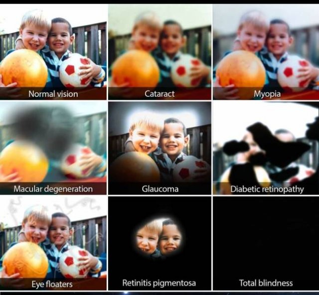 Amazing Pictures (47 pics)