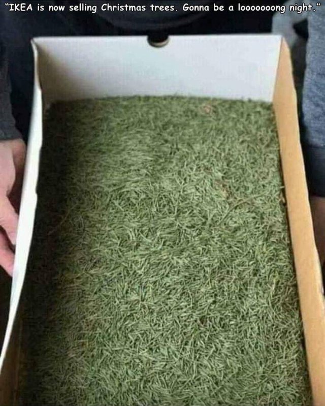 Acid Picdump. Part 1 (95 pics)