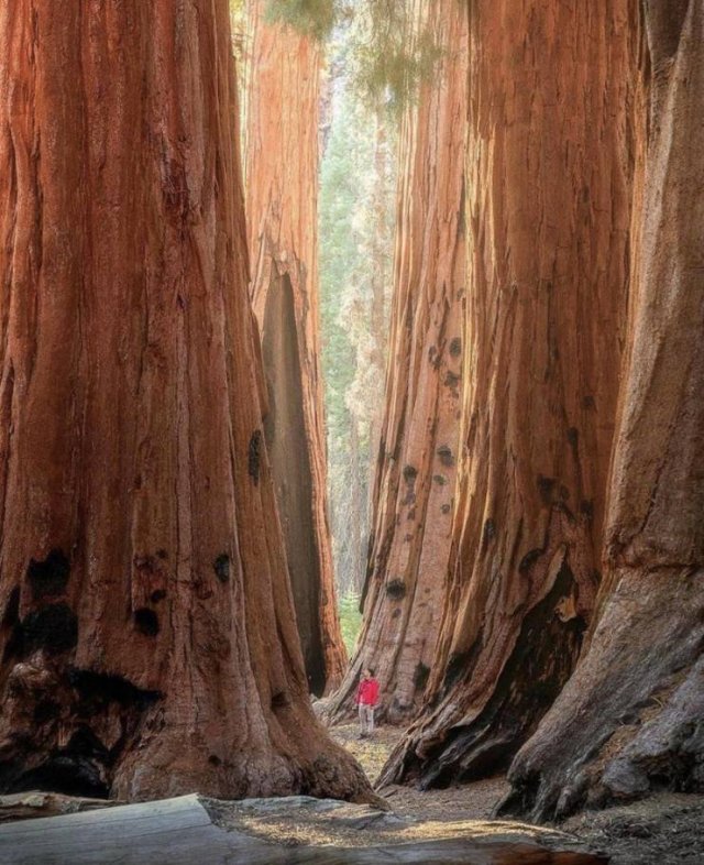 Acid Picdump. Part 1 (95 pics)
