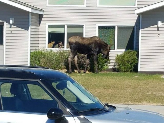 Acid Picdump. Part 1 (95 pics)