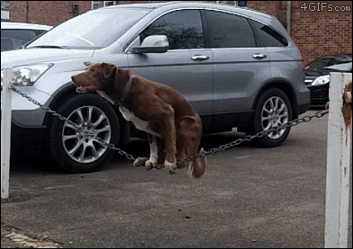 Acid Gifdump, December 7 (25 gifs)