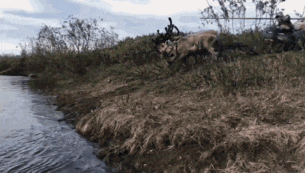 Acid Gifdump, December 7 (25 gifs)